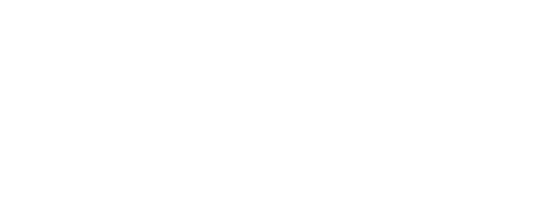 CARMEN, Ópera & Flamenco