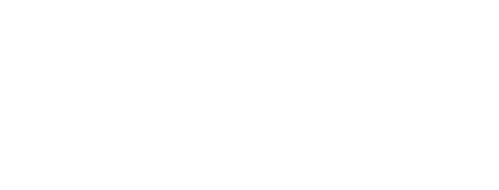 Pasión "Especial Día Internacional del Flamenco"