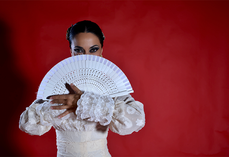 Imagen principal del artículo El universo de los complementos de baile flamenco