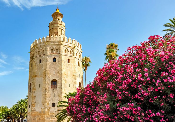 Imagen principal del artículo Cómo influye el clima y la luz de Sevilla en el arte flamenco