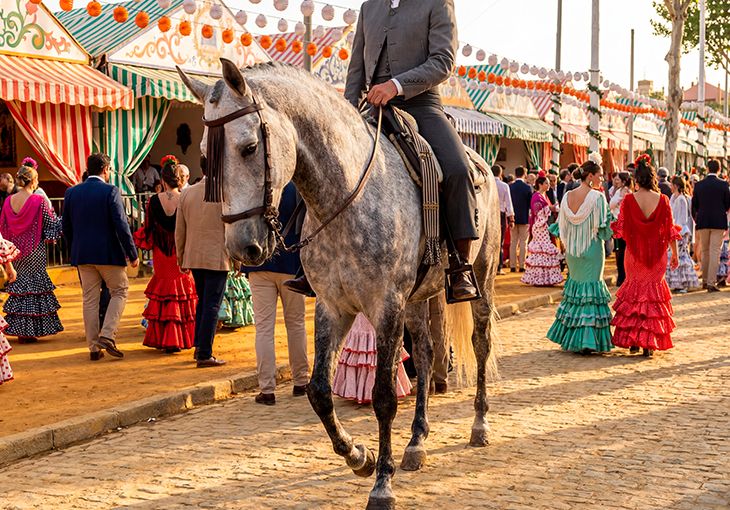 Imagen principal del artículo El caballo, parte esencial de la cultura andaluza y del flamenco