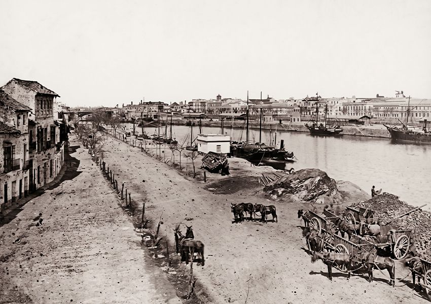 Imagen principal del artículo Flamenco y Triana: el barrio que marcó la historia del arte jondo